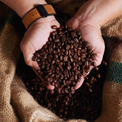 Handful of fresh roasted coffee beans form the sack